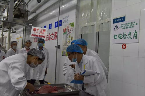 全国农业行业职业 技能大赛 动物检疫检验员 成功举办